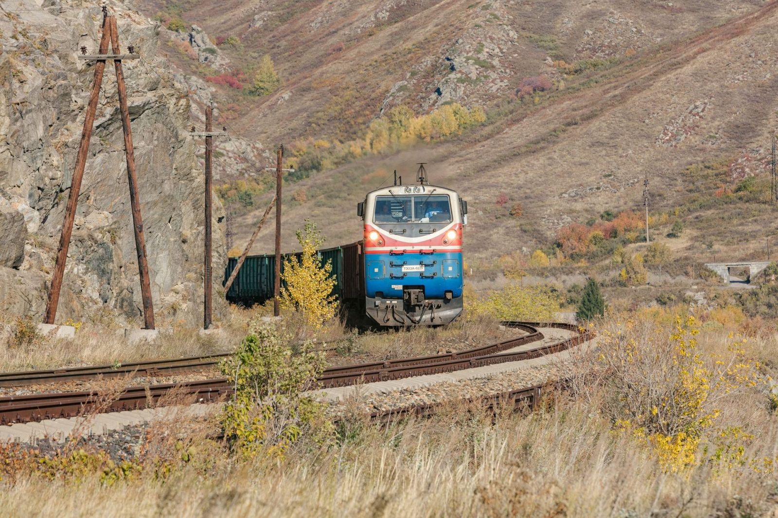 Фото Александра ЖАБЧУКА