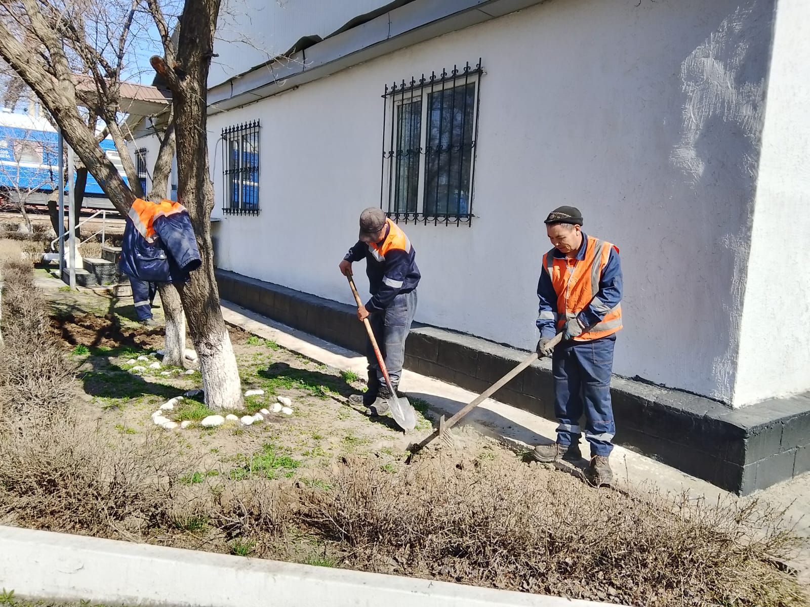 Экология айлығы аясында сенбілік өтті