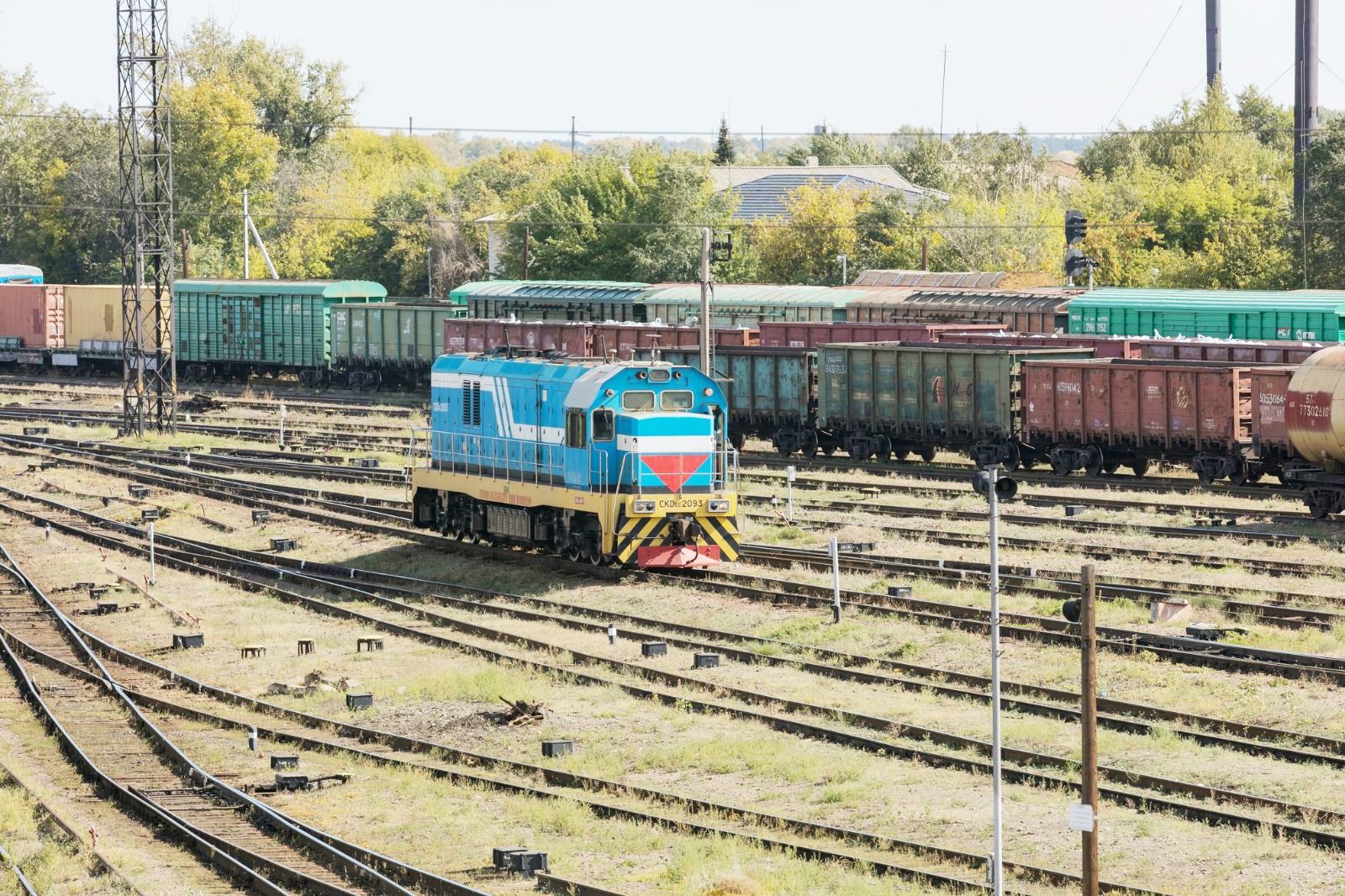 Суретті түсірген автор