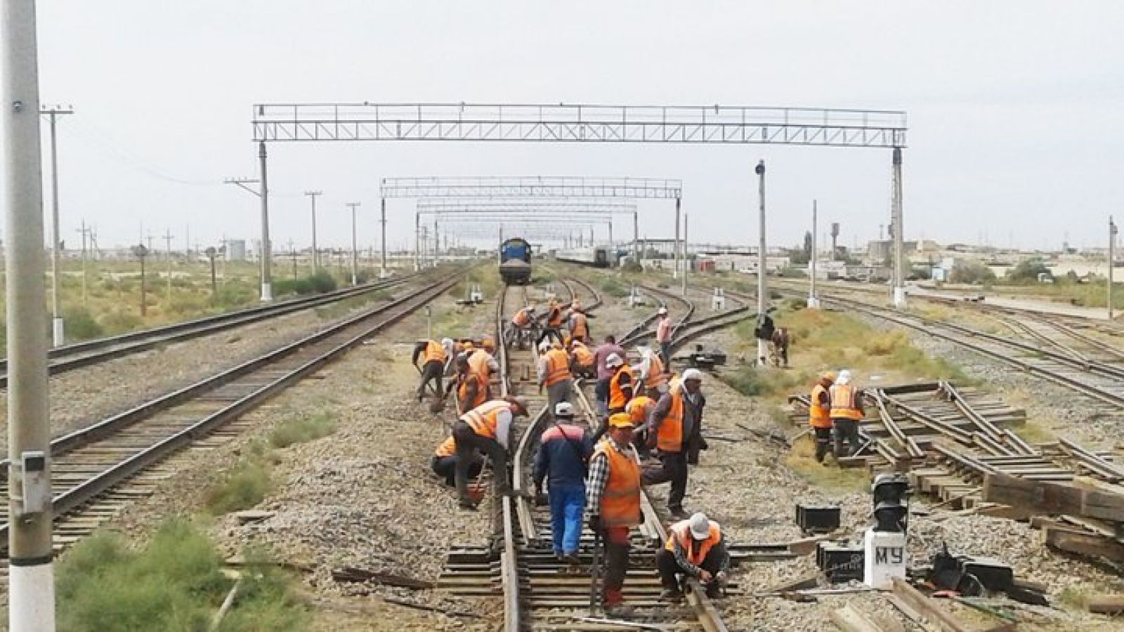 Алты сағатқа созылған толаскез