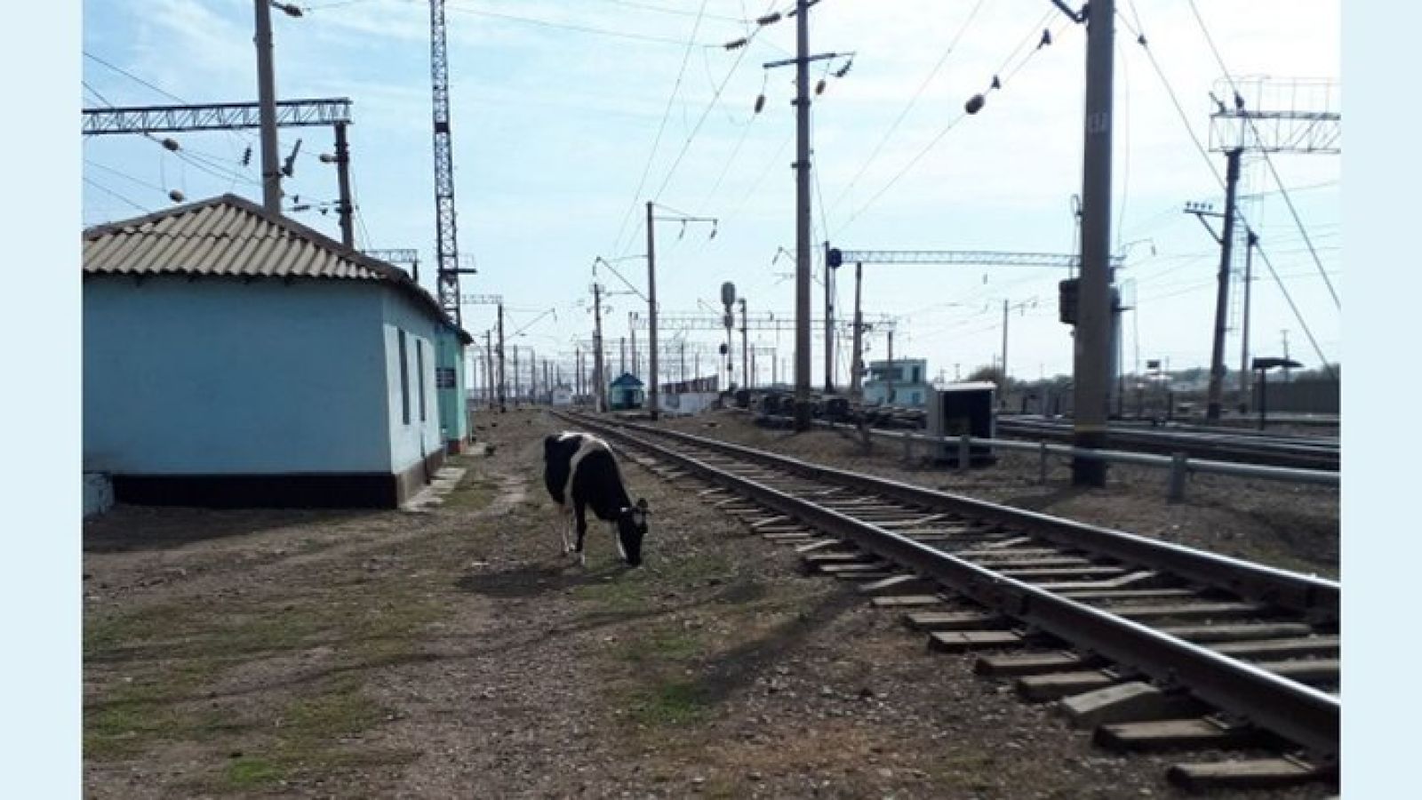 Бос сөз болмау керек