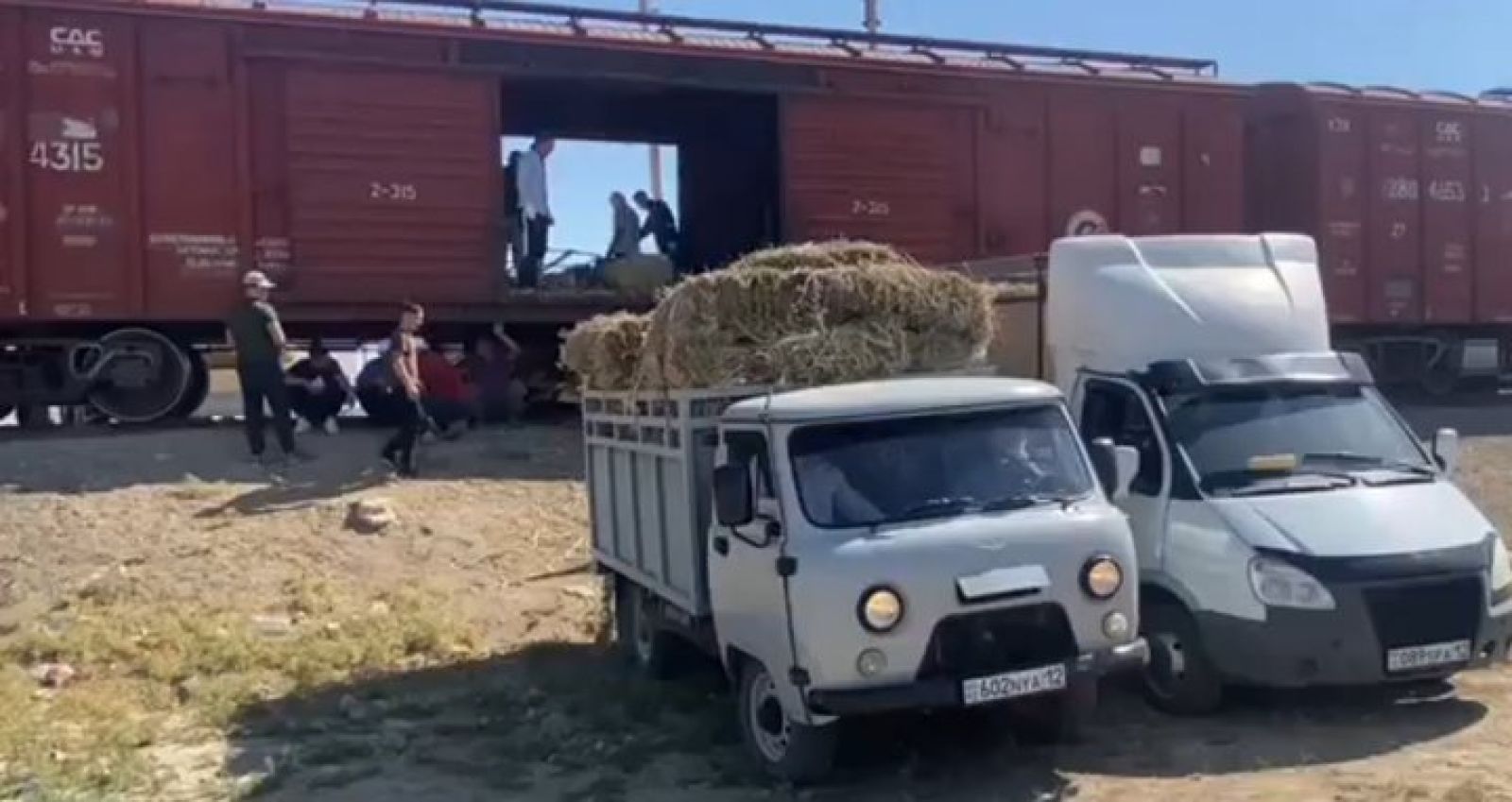 Бадамнан Маңғыстауға 4 вагон шөп жіберілді