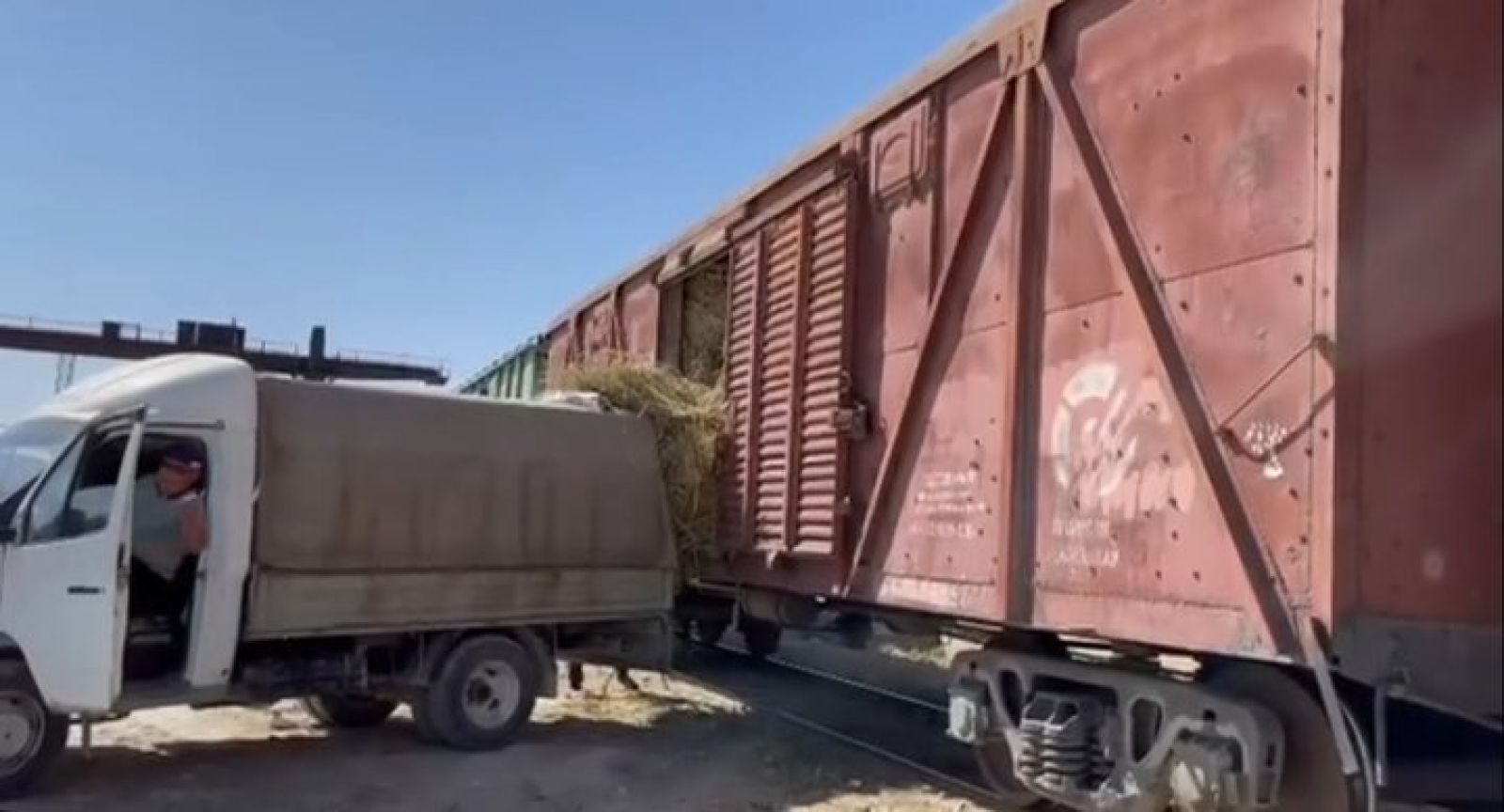 Атыраулықтар мал азығана зәру Маңғыстау жұртына екі вагон шөп жіберді