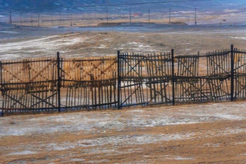 В Карагандинском регионе из запланированных 50 км скотоизгороди построено лишь 11