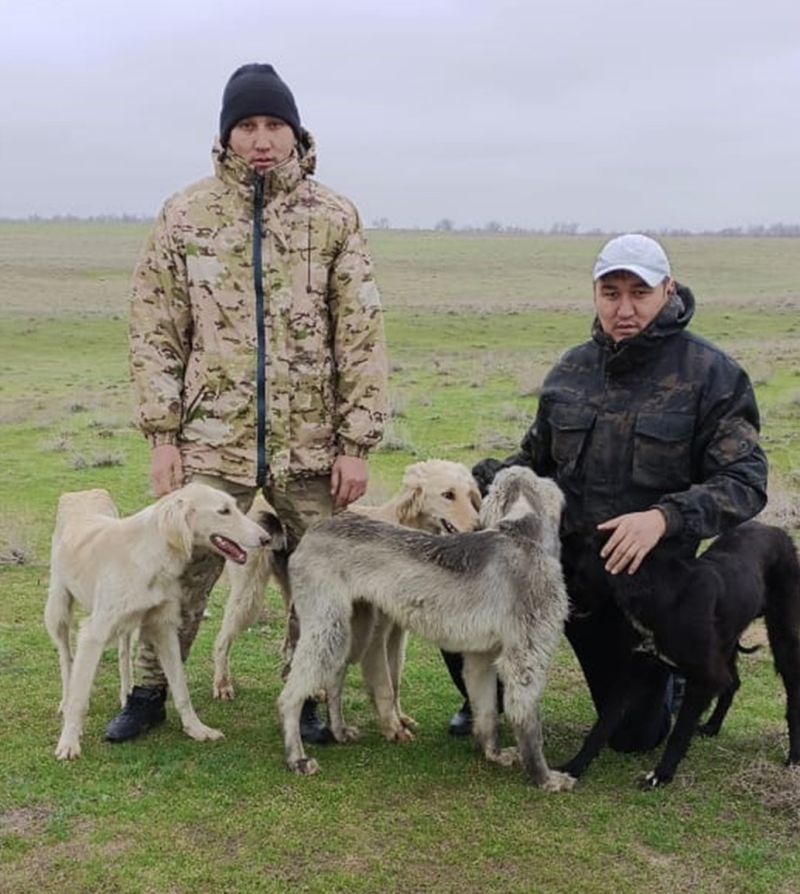 Ағайынды теміржолшылар тазы баптап, ұлттық құндылықты ұлықтап жүр