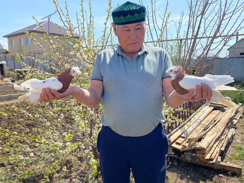 Актюбинские железнодорожники выращивают один из главных символов мира