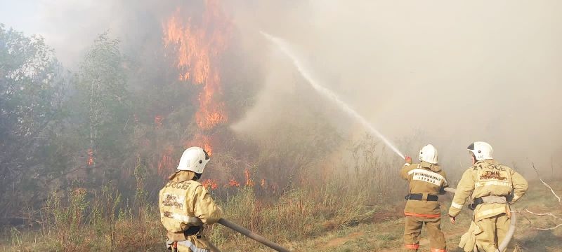 Орман өрті Ауыл станциясына жақын маңда өшірілді
