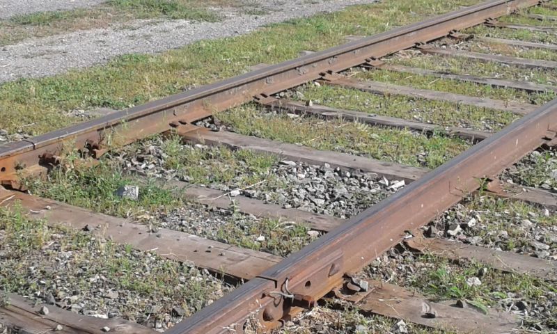 Вырвать с корнем: в Костанайской области завершен очередной сезон травоборьбы