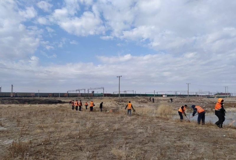 Итоги акции «Марафон зеленых дел» подвели в КТЖ
