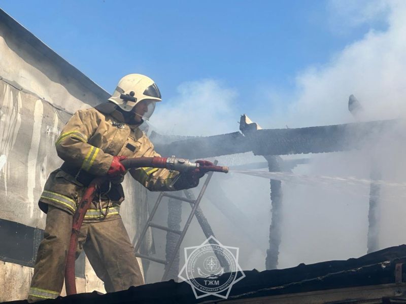Өрт сөндіру пойызы тілсіз жауды тізгіндеуге атсалысты
