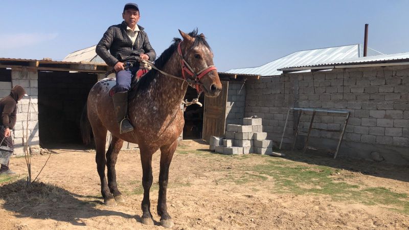 Шабандоз теміржолшы