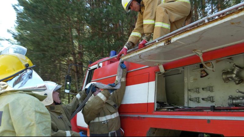 Учения по тушению лесного пожара прошли в окрестностях Риддера