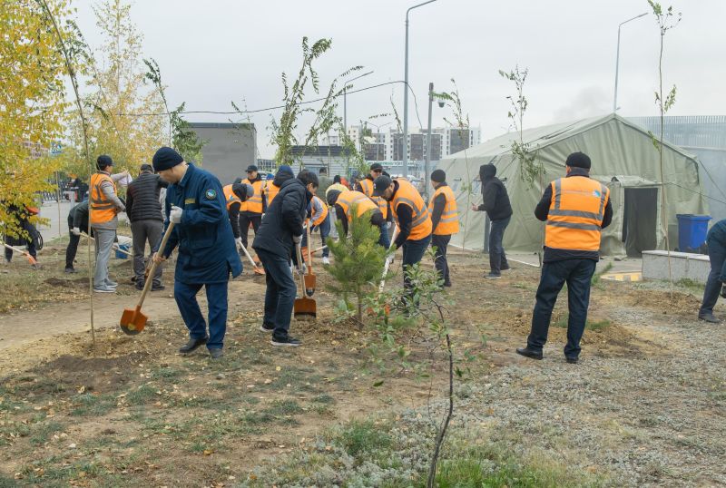 «Таза Қазақстан: теміржолшылар 90 мыңнан астам ағаш отырғызды