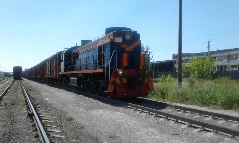 Более 470 тыс. тонн зерна нового урожая отправлено из Костанайского региона
