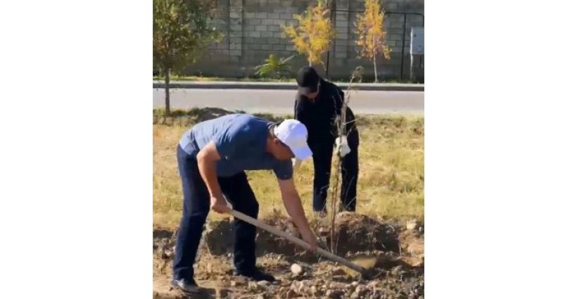 Таразда теміржол күзетшілері 472 түп ағаш отырғызды
