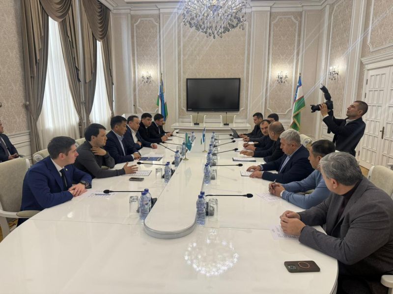 Казахстан и Узбекистан увеличат обмен поездами до 35 пар в сутки