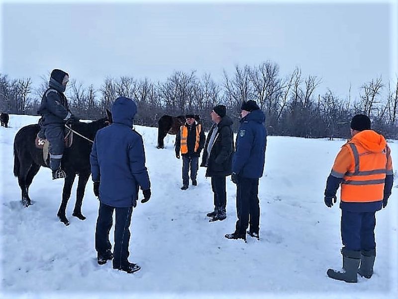 Владельца лошадей оштрафовали за выпас скота в защитной полосе железной дороги в ЗКО