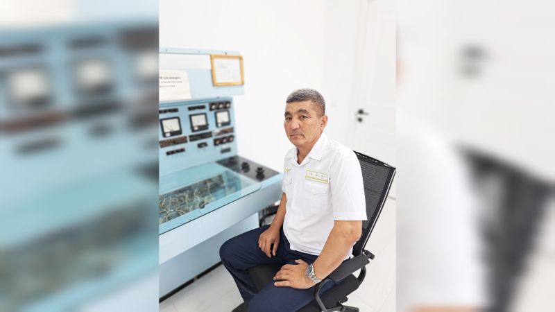 Кәсібиліктің үлгісі