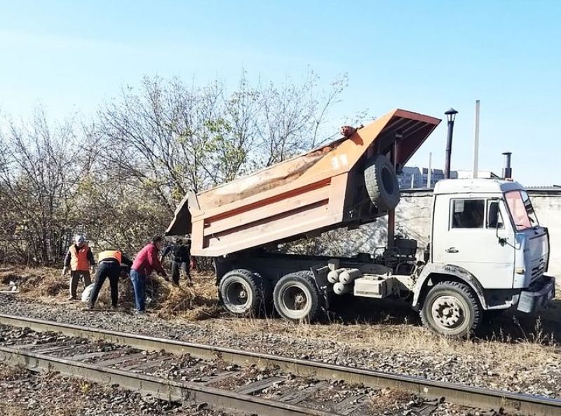 Семейлік сала қызметкерлері сенбілікке шықты