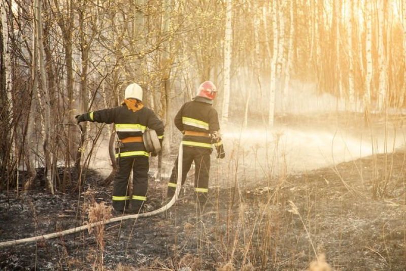 Спасатели Костаная потушили условный пожар в лесном массиве