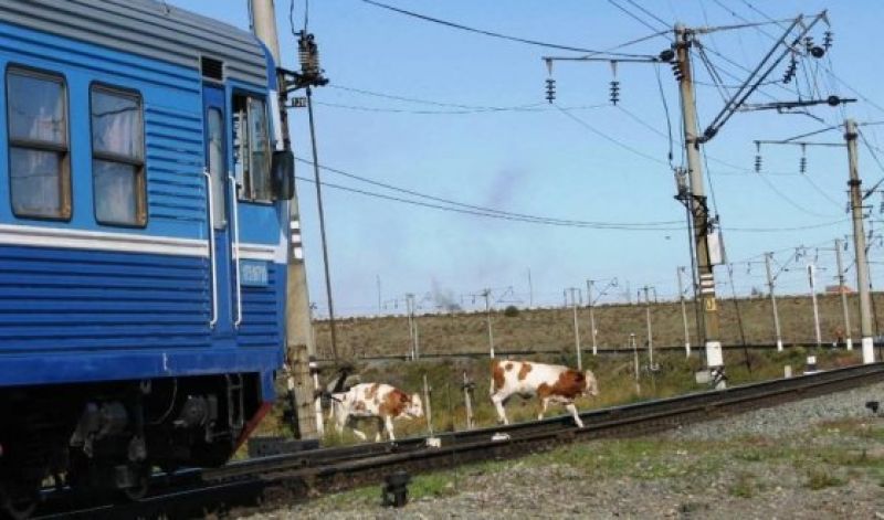 Қауіпсіздікті сақтауда қапы қалмаңыз