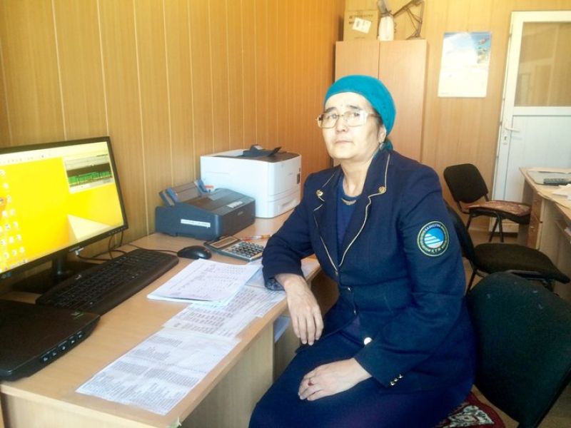 Шетпенің  тауар кассирі