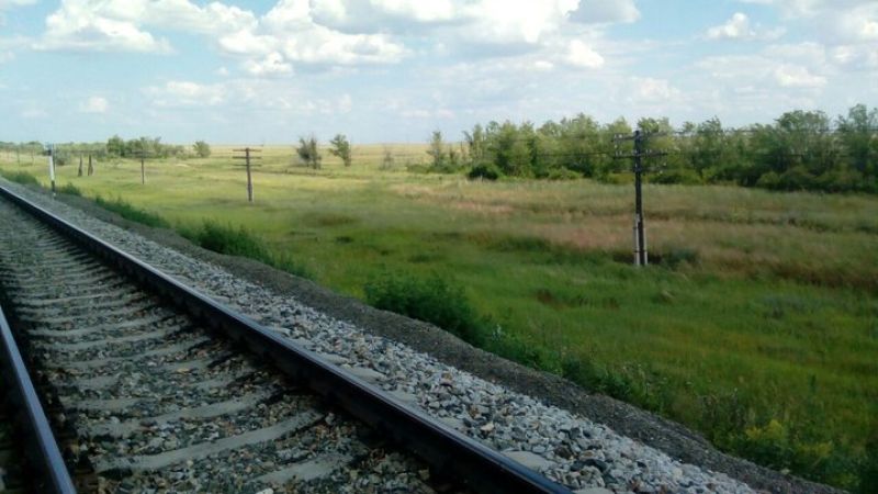 Опашка не подводит