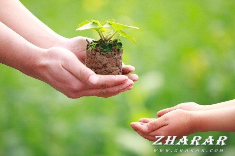 Қайырымдылық – сауапты іс
