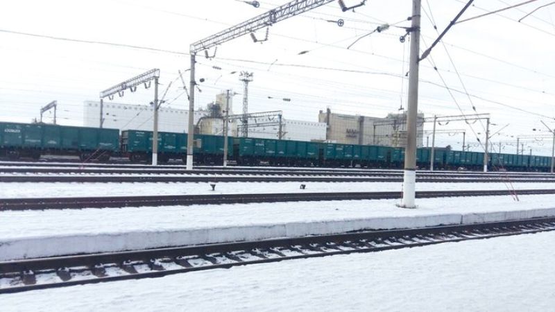 Тікелей бағдар: Атбасар астығы Пекинге жол тартты