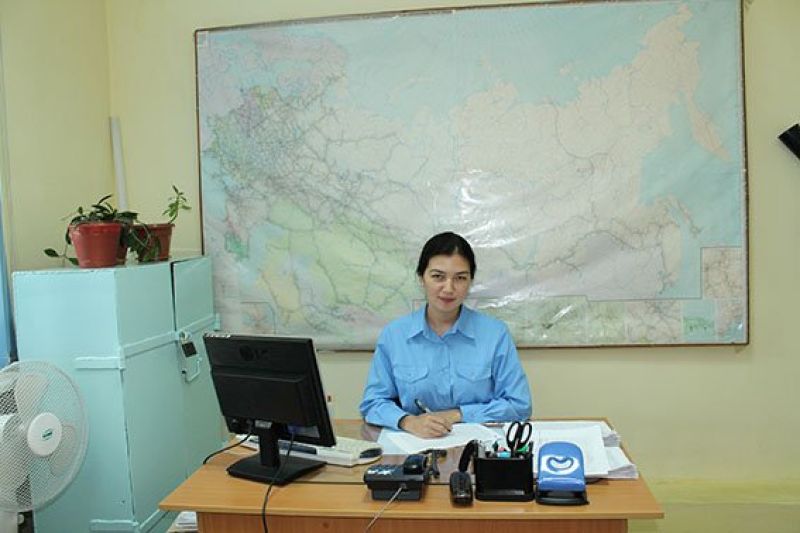 Жалтырлық жауқазын