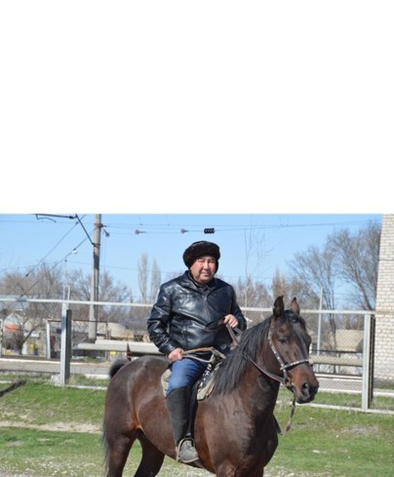 Ер қанаты  