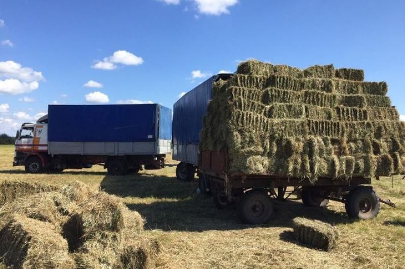 Ақтөбеліктер де іргелес жатқан маңғыстаулықтарға қарайласа бастады