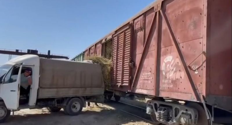 Атыраулықтар мал азығана зәру Маңғыстау жұртына екі вагон шөп жіберді