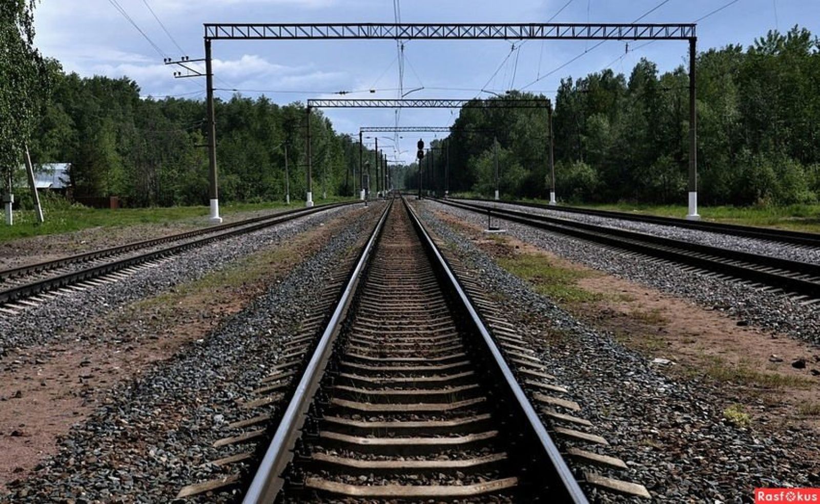 Более 100 рекомендаций для устранения коррупции подготовил Комитет транспортного контроля