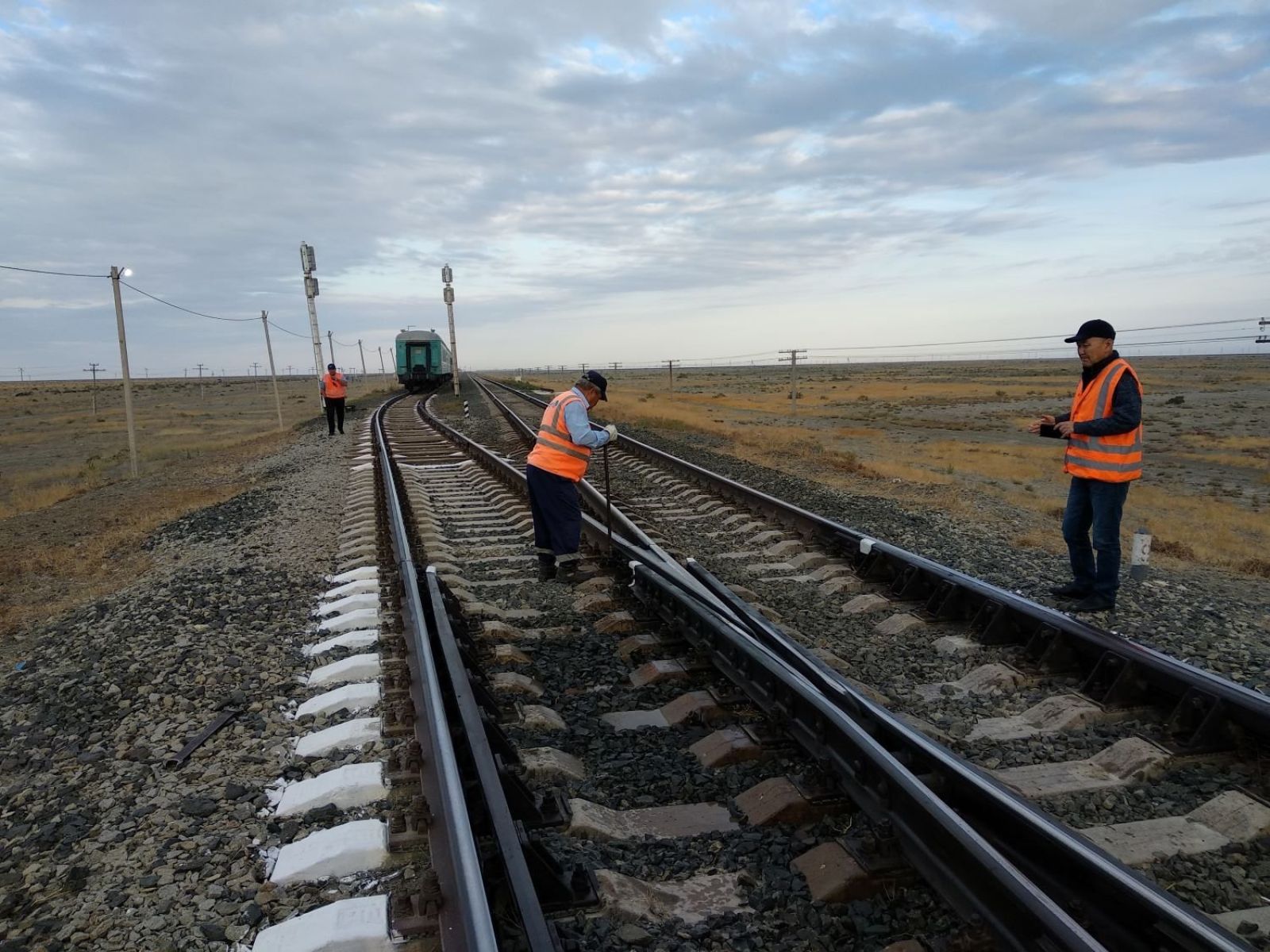 Сурет автордікі