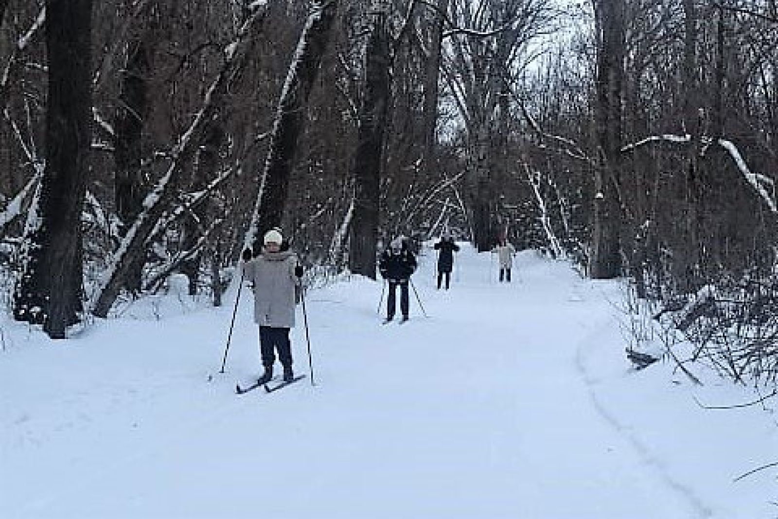 Встать на лыжи смело – не простое дело: уральские железнодорожники вышли на традиционную лыжную прогулку
