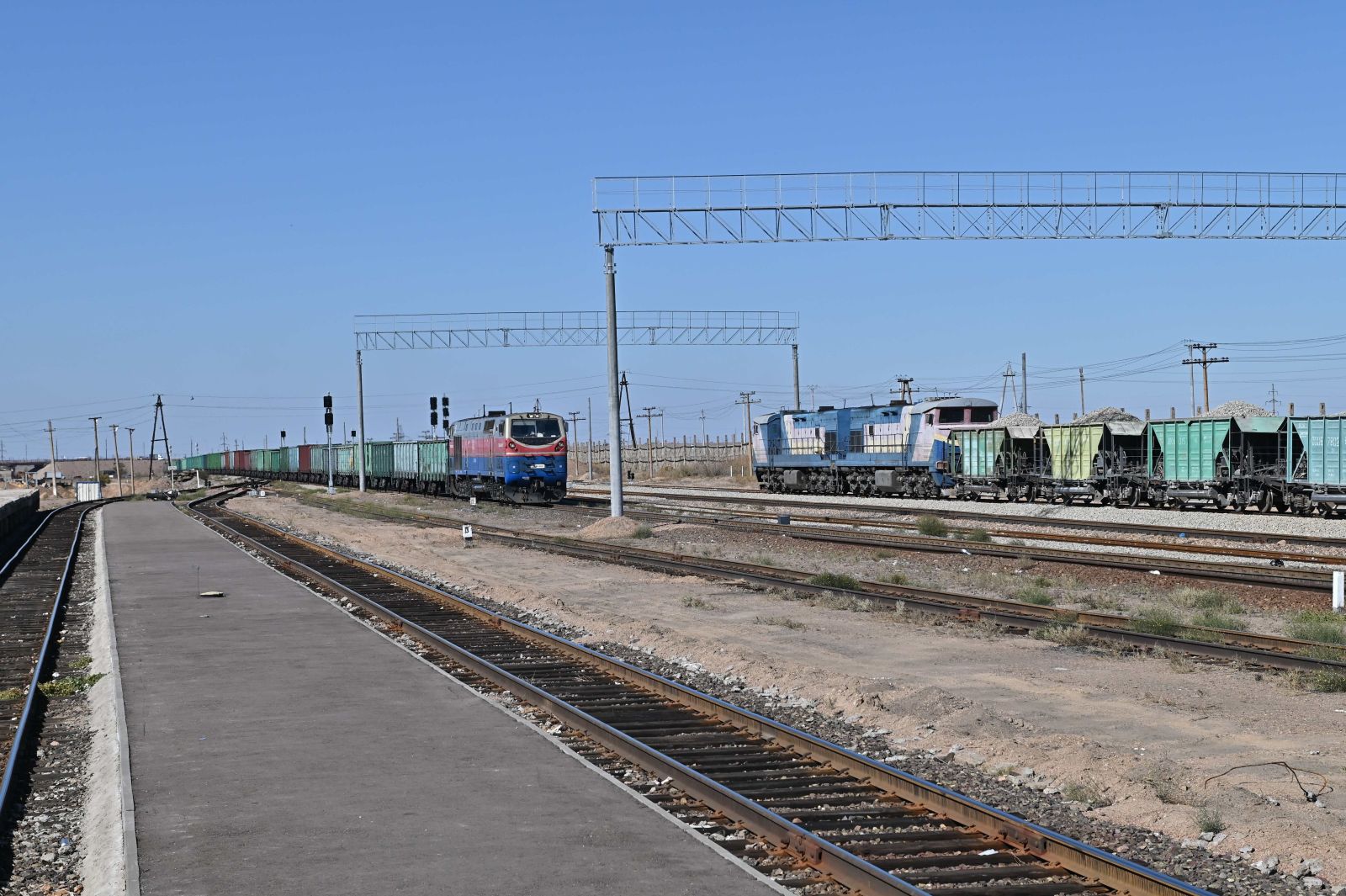 Фото Александр Жабчука