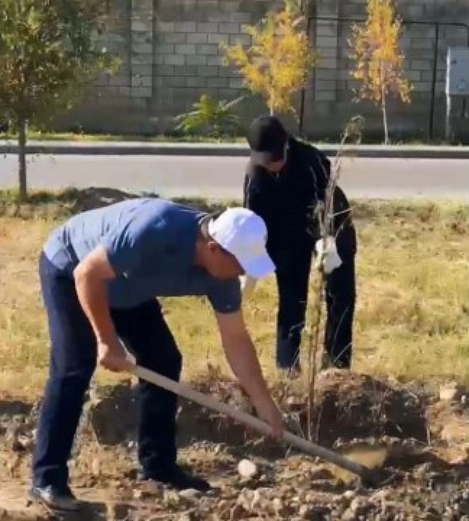 Таразда теміржол күзетшілері 472 түп ағаш отырғызды