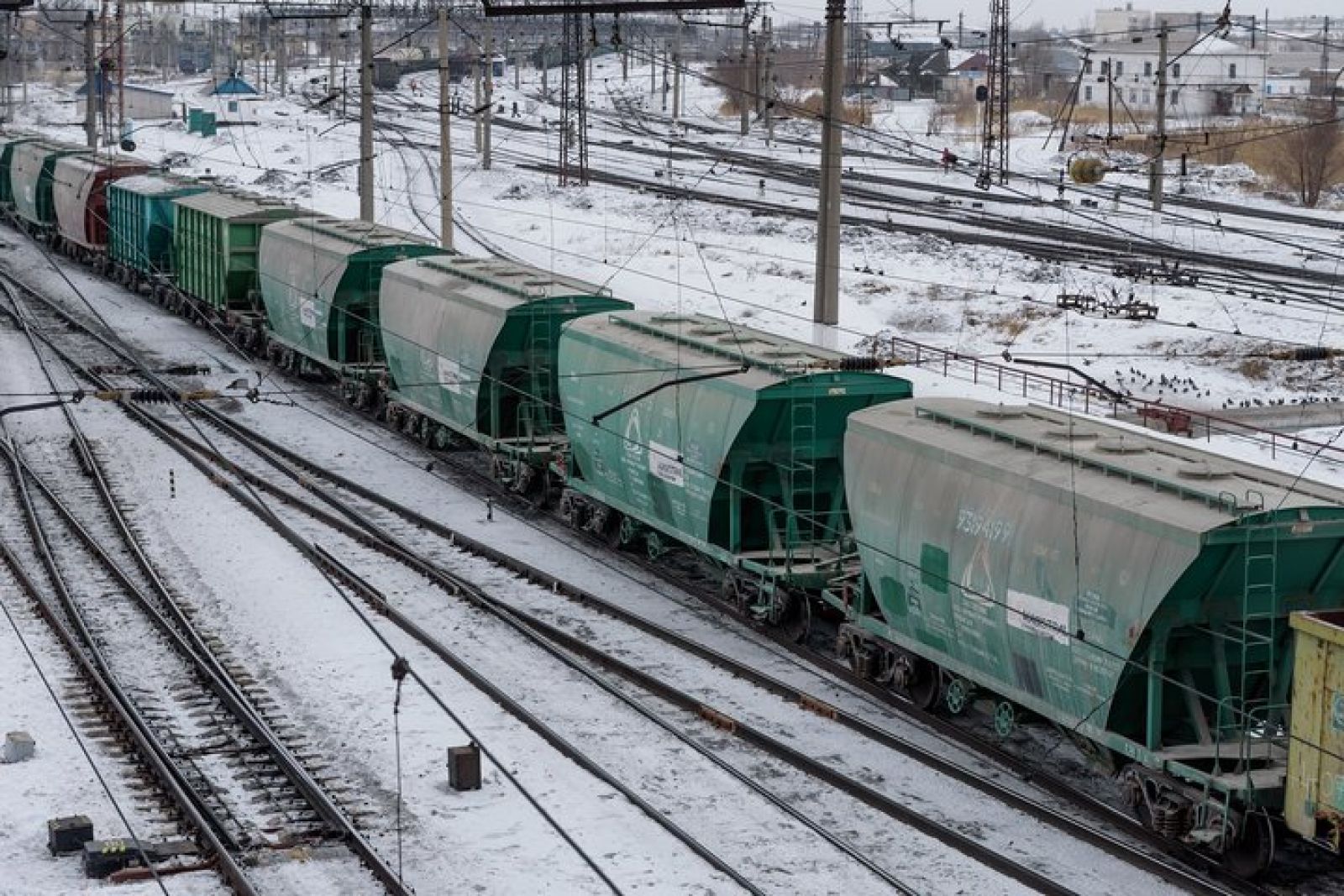 В Костанайском отделении грузовых перевозок растут объемы отгрузки зерна и муки
