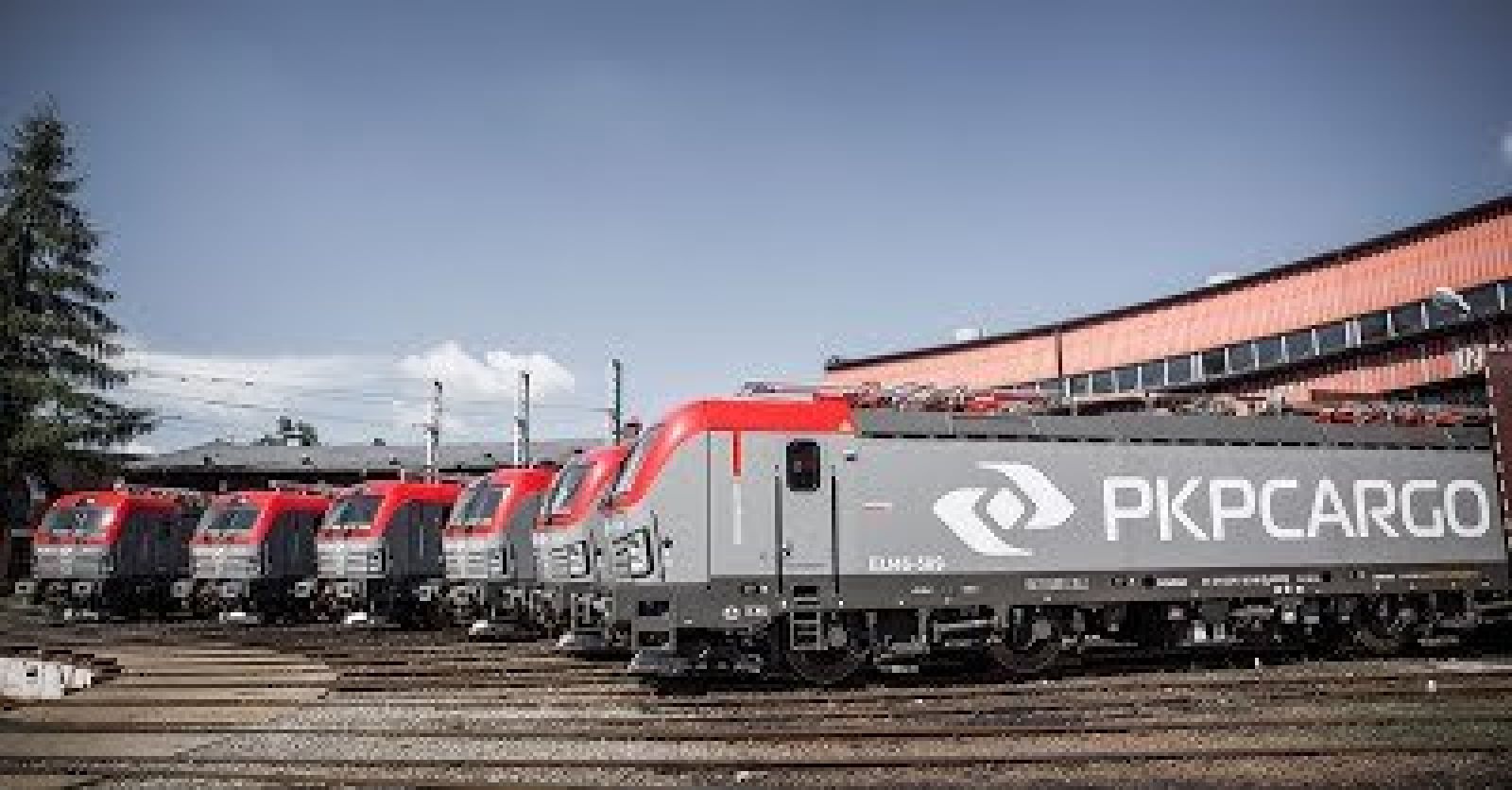 PKP Cargo приобрела 80 % акций оператора грузовых перевозок Словении