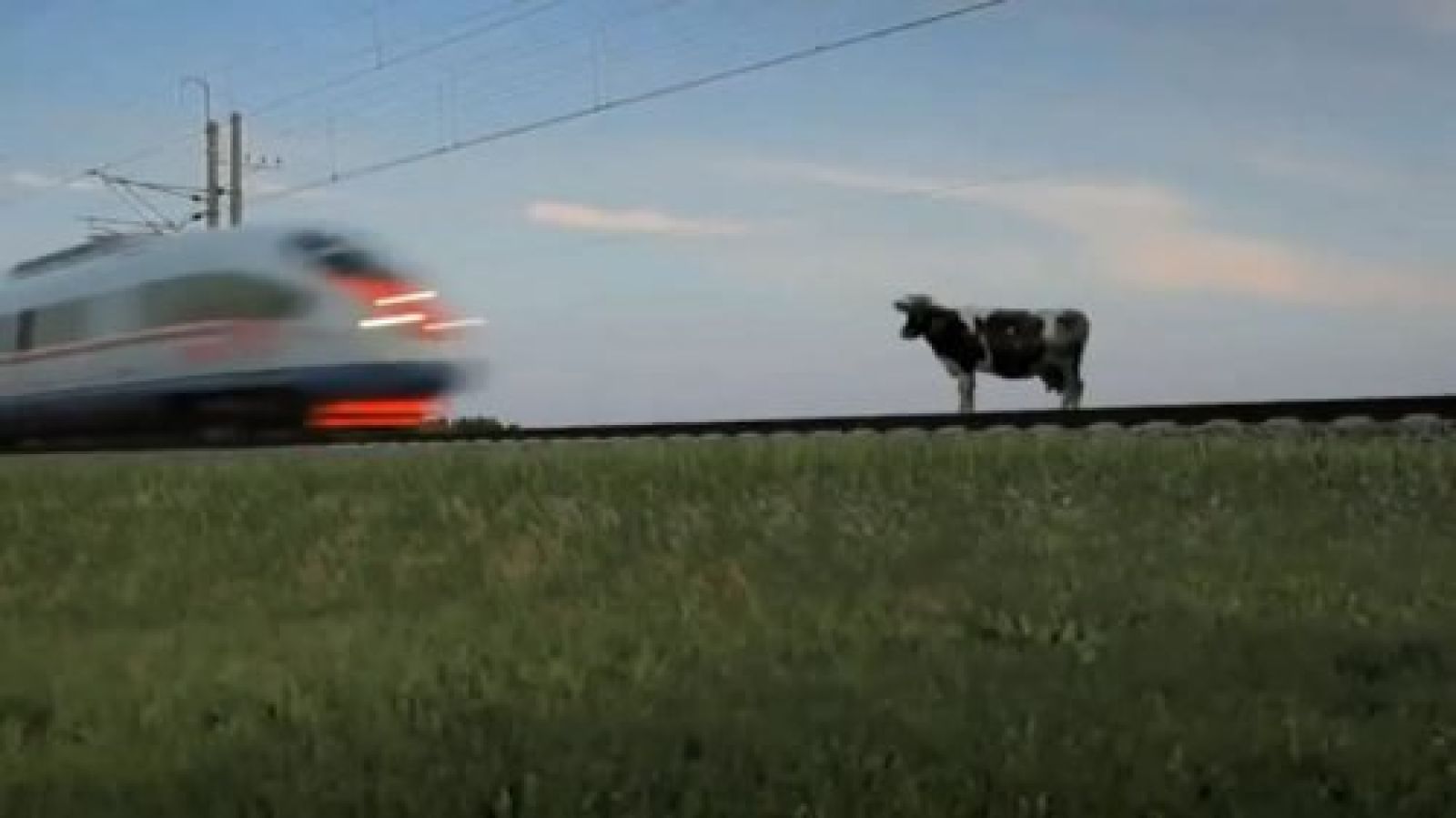 Бітпейтін дау – сол баяғы төрт түлік...