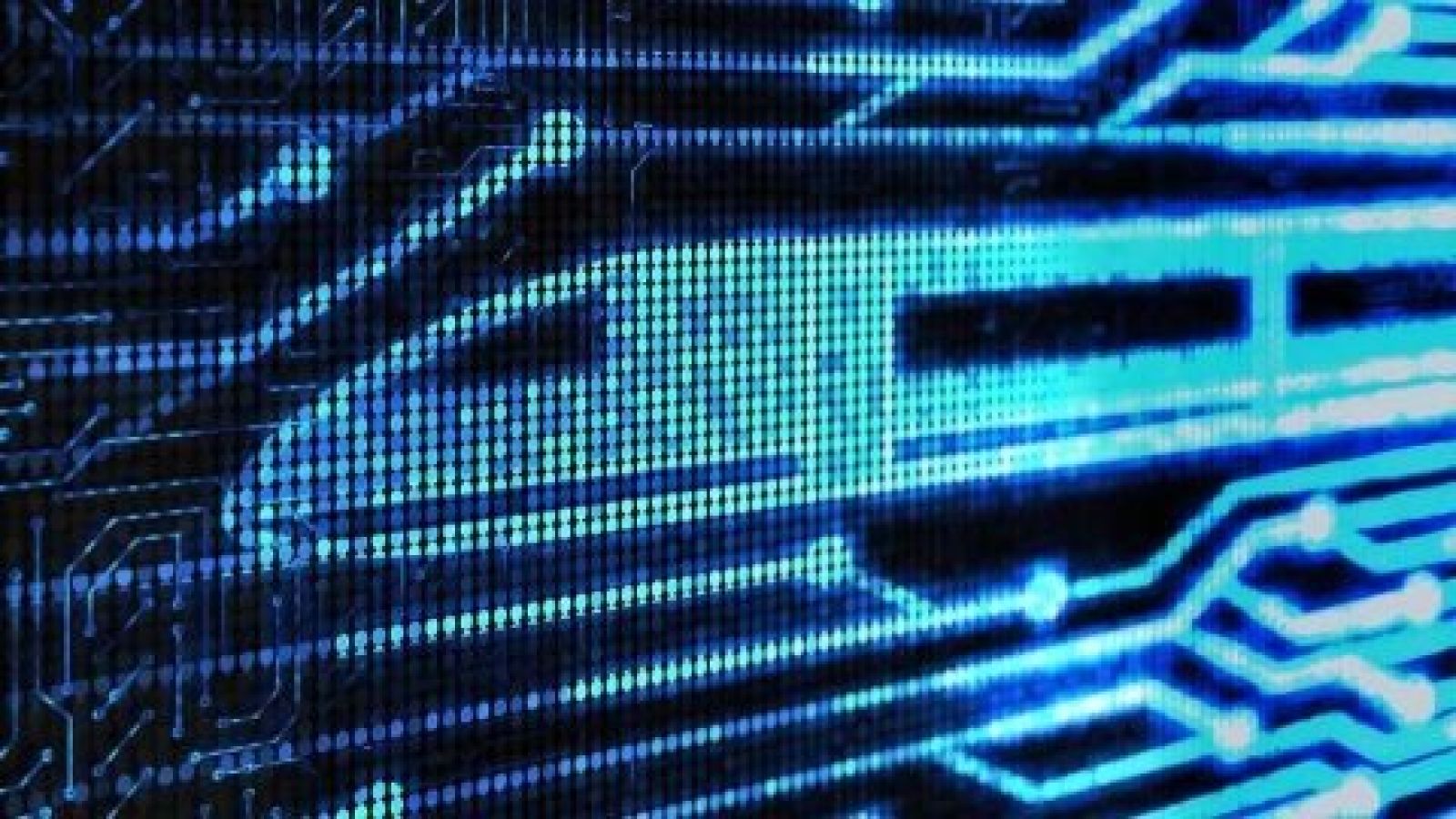 «Цифрлық трансформация» бағдарламасы аясында Қытаймен арадағы шекарада тиімді шаруалар қолға алынды