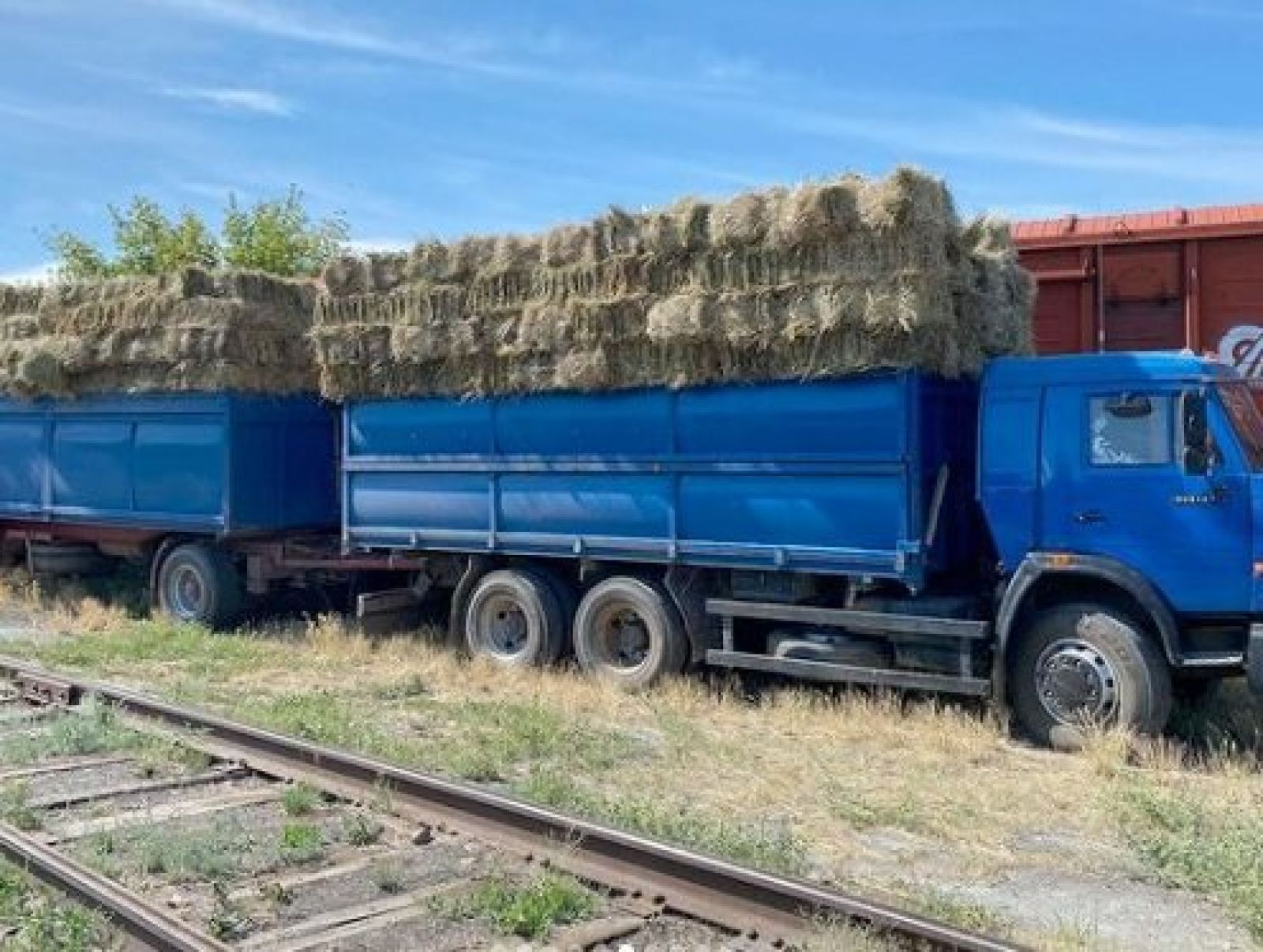 ҚТЖ Батыс өңірлерге жем-шөп тасымалдауды тамыздың соңына дейін ұзартты