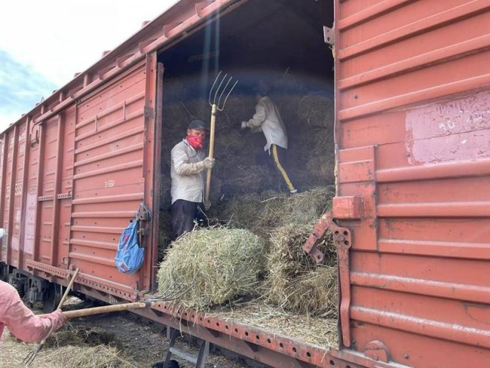 177 вагонов с сеном доставил ҚТЖ в западные регионы страны