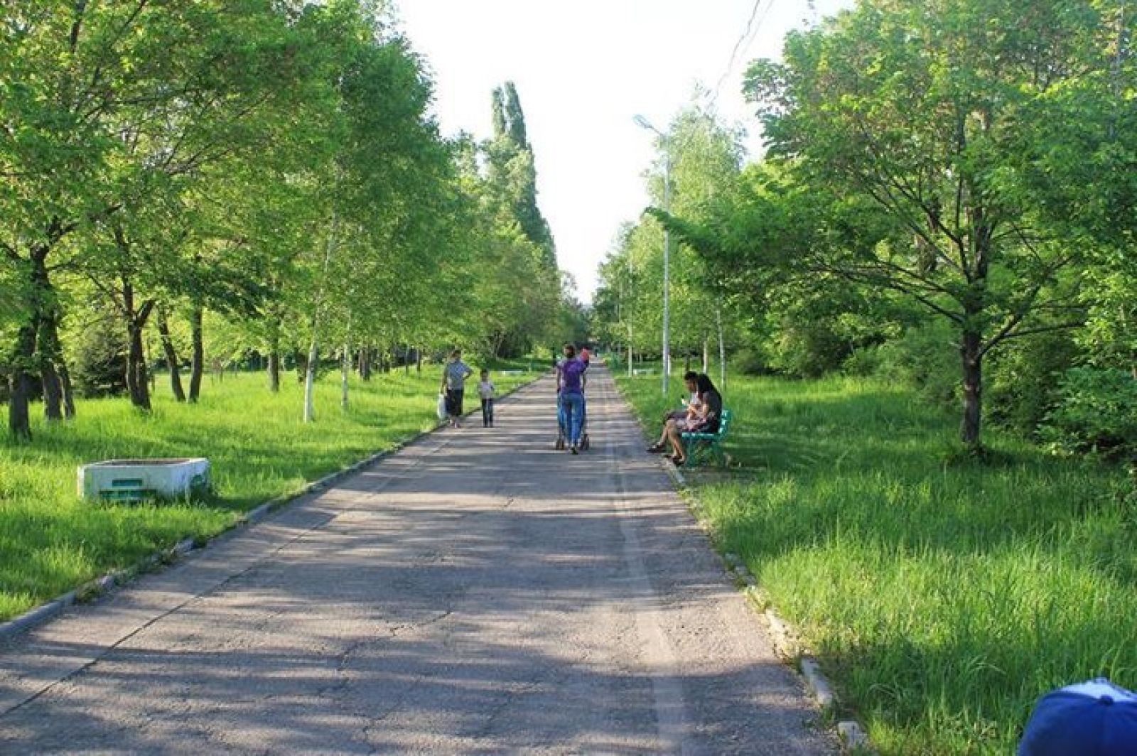 Аллею имени Нигматжана Исингарина предлагают создать в Алматы
