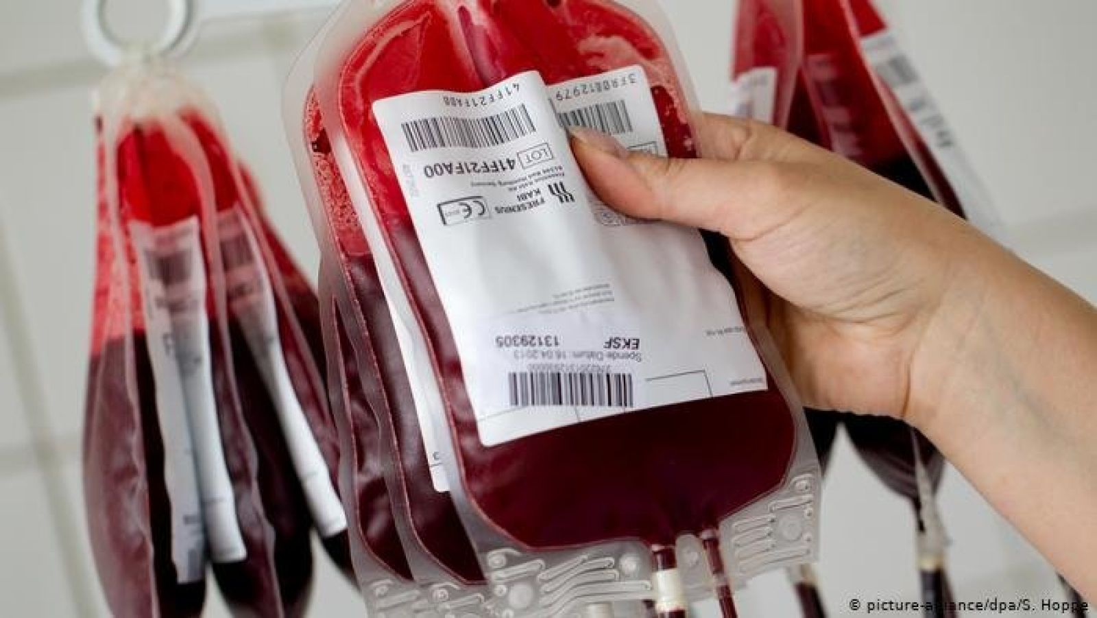 Жамбылдық теміржолшылар мұқтаж жандар үшін қан тапсырды