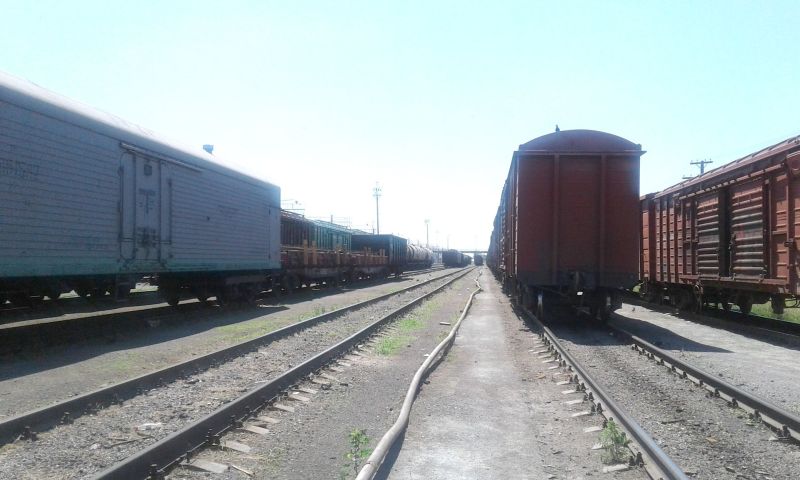 В Костанайском регионе сохраняется динамика роста по всем показателям