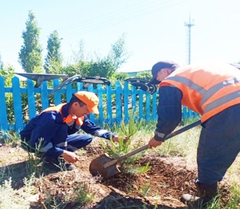 Семейдегі жүк тасымалы бөлімшесінде көгалдандыру жүріп жатыр