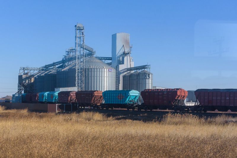 Цена перевозки корма ж/д транспортом снизилась на 80% для фермеров Мангистау