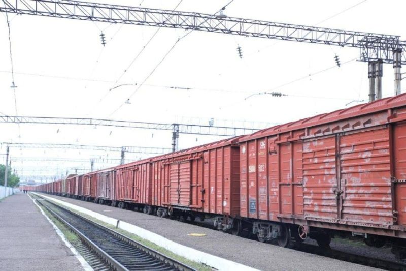 Сарыағаш станциясына Тәжікстаннан гуманитарлық жүк жеткізілді
